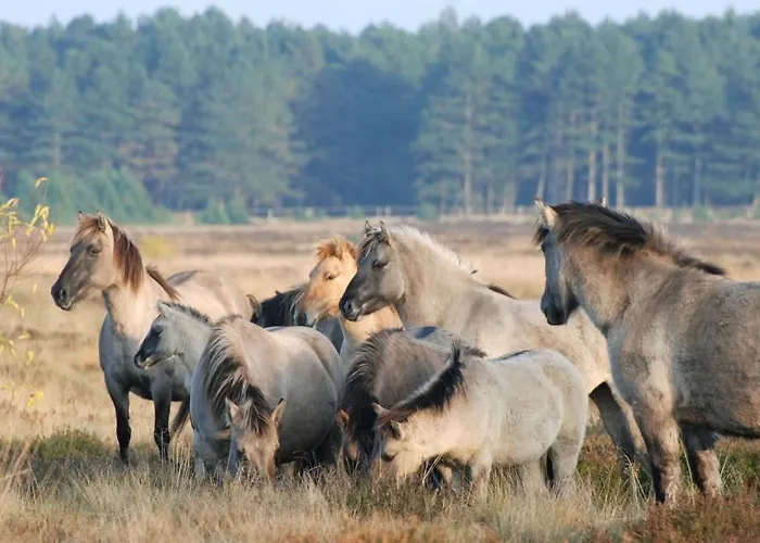 Kuestenhaus Kormoran Cuxhaven
